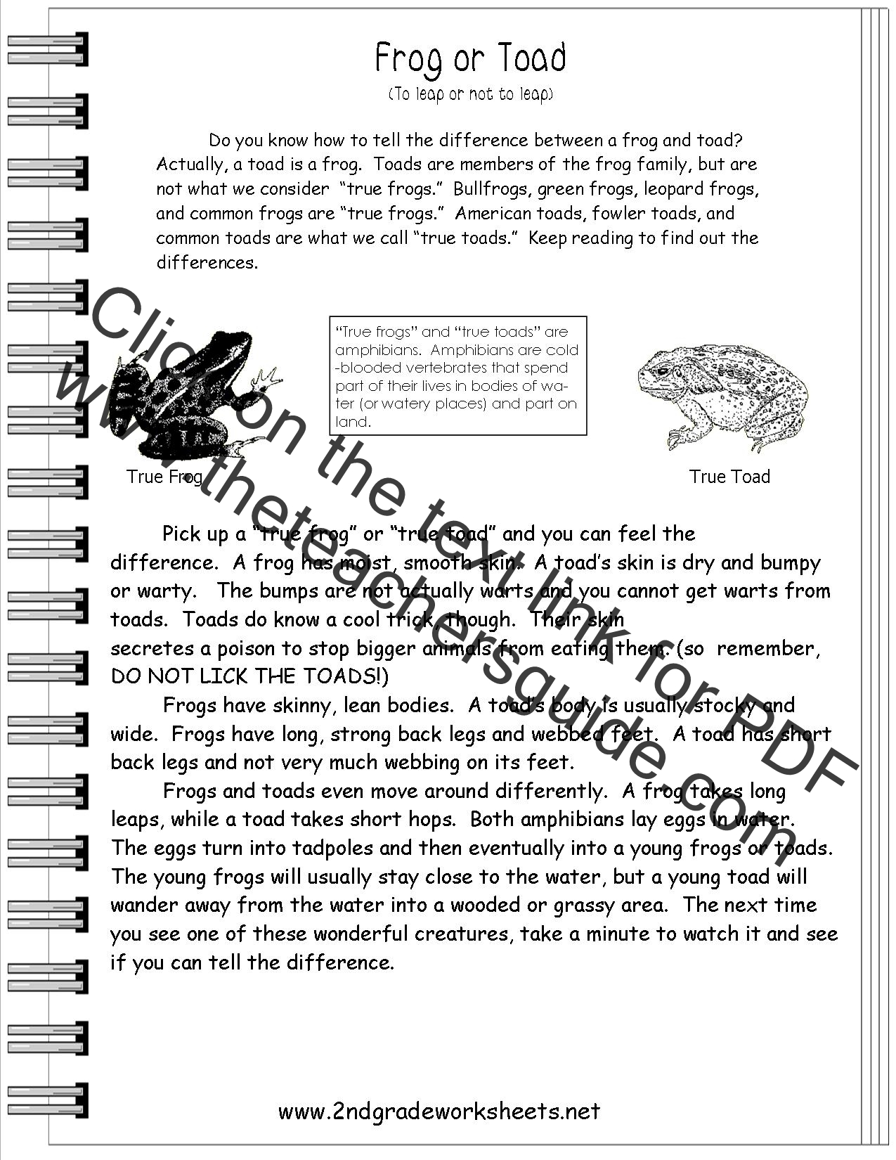 Text Features Worksheet 20rd Grade